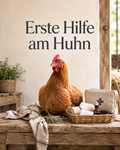 Erste Hilfe am Huhn