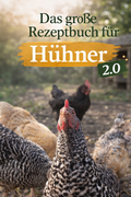 Rezeptbuch 2.0 eBook