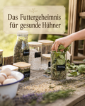 Kurs ,,Das Futtergeheimnis für gesunde Hühner"